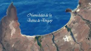 Tripadvisor har 1 781 recensioner och artiklar om tongoy resor av turism. Protected Area Tongoy Chile Manfred Hermsen Stiftung