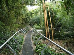 Bamboo Garden Parc De La Villette Paris Bamboo Garden Landscape Paris
