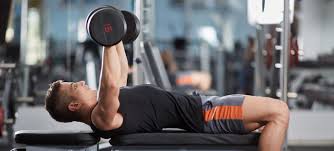 Top 10 Best Weight Bench Exercises Exercise Co Uk