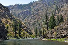 Middle Fork Of The Salmon