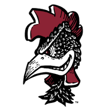 Retro South Carolina Gamecocks Retro College Apparel Gamecocks Gamecocks Football Gamecocks Logo