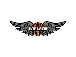 Image result for harley davidson wing