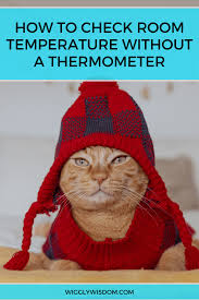 Your thermostat may also be in a room where you rarely spend time. How To Check Room Temperature Without A Thermometer And Is It Accurate Wigglywisdom Com