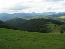 Petite ferme existante depuis 1800. Freiburg Schwarzwald De Route Des Cretes Vogesen Les Vosges En Alsace