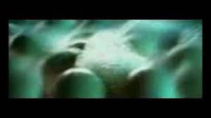 We did not find results for: Dj Alligator Blow My Whistle Official Video Youtube