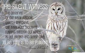 April 9 2014 Intuition Ability To See What Other Do Not See The Presence Of The Owl Announces Change Capacity To See Bey Owl Quotes Owl Spirit Animal Owl