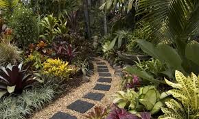 Pin By How To Garden Ideas On Garden Ideas Small Tropical Gardens Tropical Landscaping Tropical Garden Design