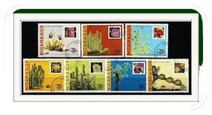 Image result for Pavetta rwandensis