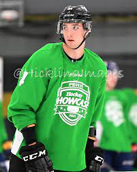 Logan mailloux ретвитнул(а) niagara icedogs. Logan Mailloux Elite Prospects