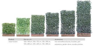 Lots of evergreen fast growing trees and shrubs to create a barrier between houses. Mobilane Green Screen An Instant Hedging Screen Mobilane