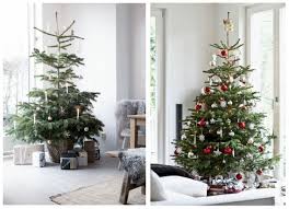 Decorating the christmas tree is a fun tradition many look forward to each year. 7 Best Modern Christmas Tree Ideas Decorilla Online Interior Design