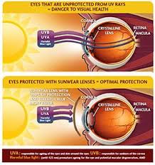 Uv Eye Protection Uv Protection Sunglasses Xperio Uv