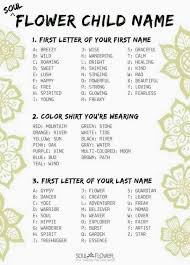 Wandering Sun Weaver Hippie Names Funny Name Generator Name Generator