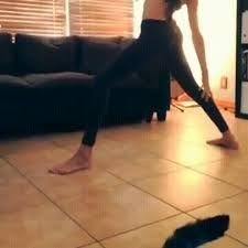 Discover and share the best gifs on tenor. Gif Yoga Says Cat Animated Gif On Gifer By Tho