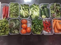 Selepas seminggu, beginilah rupa sayur yang saya dah simpan. Jangan Basuh Cara Betul Simpan Sayur Kekal Segar Lebih Seminggu Mingguan Wanita
