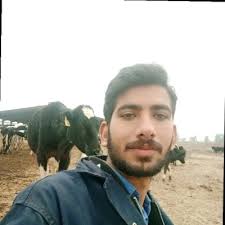 Apply for Master's and Ph.D. in Animal Science Epidemiology at UFMG