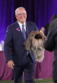 Wasabi, a pekingese, rests on the winner's podium with its trophy wasabi — the name derives from his mother, sushi — came out on top of a finalist pack that also included mathew the french bulldog. Xml4etd77r6hvm