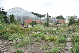 První botanická zahrada v olomouckých parcích byla založena na přelomu 20. Botanicka Zahrada Olomouc Cokolivokoli Cz