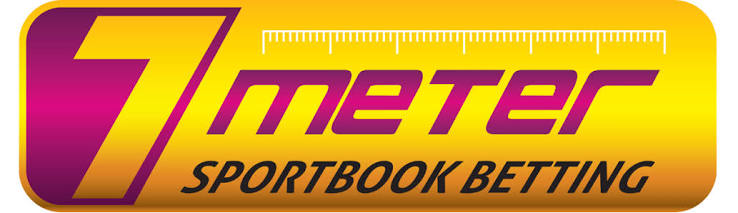7METER Logo