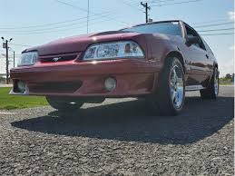 Image result for Wild Strawberry 1992 Tempo