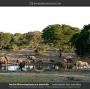 Kruger National Park safari all inclusive packages from www.safaribookings.com