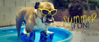 Summer Fun at Rockin' Jump Greensboro ...