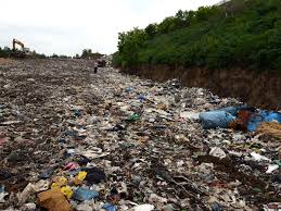 نتیجه جستجوی لغت [litter] در گوگل