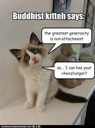 Buddhist Kitten Funny Cat Memes Life Humor Greatful