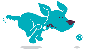 Check spelling or type a new query. Vets In Leeds Vets In Bradford Yorkshire Vets Pet Care At Heart