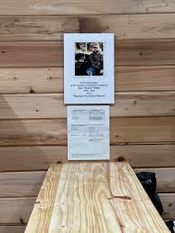 Freshly put together this cool fella...