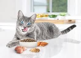 BLUE Tastefuls™ Dry Cat Food | Cat Food Finder | Blue Buffalo