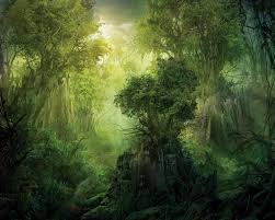 Fantasy Forest Wallpapers Hd For Desktop Backgrounds We have a lot of different topics like we present you our collection of desktop wallpaper theme: fantasy forest wallpapers hd for