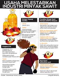 Penanaman tanaman penutup tanah (kacangan) sangat penting di perkebunan kelapa sawit. Bernama Sur Twitter Infografik Usaha Melestarikan Industri Kelapa Sawit