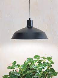 You can use them to grow plants inside in rooms that don't get any natural sunlight. Barnyard Pendant Led Plant Light Gardener S Supply