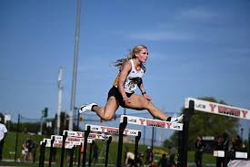 Image result for Field Block