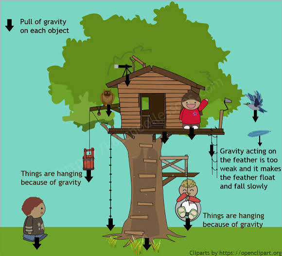 Gravity for Kids | What is Gravity? | Pull of Gravity | Gravitational Pull