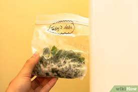 For some added protein, add some plain or vanilla greek yogurt. How To Freeze Swiss Chard With Pictures Wikihow