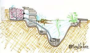 Reve De Gosse Un Bassin Dans Le Jardin En 2020 Bassin De Jardin