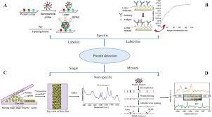 I think the major difference. Fundamentals And Applications Of Sers Based Bioanalytical Sensing
