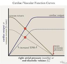 Cardiac Vascular Function Curves Cardiovascular