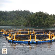 Pasarmina Keramba Jaring Apung Oktagonal Aquatec