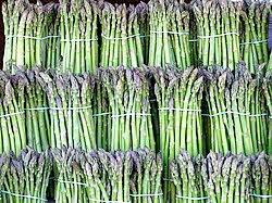 Image result for Asparagus botswanicus
