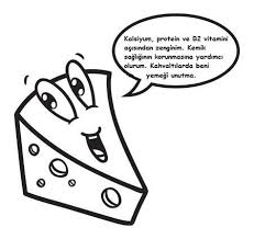 Peynir Konusuyor Okul Oncesi Okul Sinif