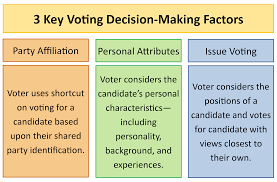 Political Participation Campaigns And The Voting Process