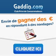 Mon avis sur les sondages en ligne. Sondages Remuneres Quels Sont Les Sites Qui Paient Enquete Debat