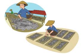 Kunci jawaban tema 2 kelas 4 hal 35. Sumber Energi Yang Digunakan Untuk Mengeringkan Ikan Kunci Jawaban Tema 2 Kelas 4 Sd Mi Halaman 37 Subtema 1 Portal Jember