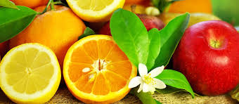 Mudas Cítricas - Frutasbella