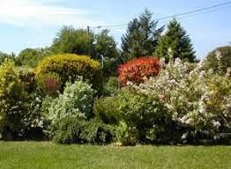 Une Haie Champetre Idees Jardin Jardin Exterieur Jardins