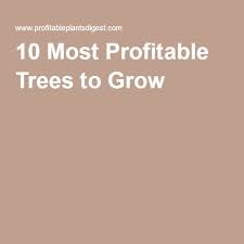 10 Most Profitable Trees To Grow Specialty Crops 10 Things Growing