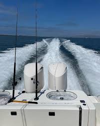 Drew Vu (@drewanhvu) • Instagram photos and videos